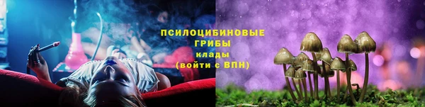 соль ск Абдулино