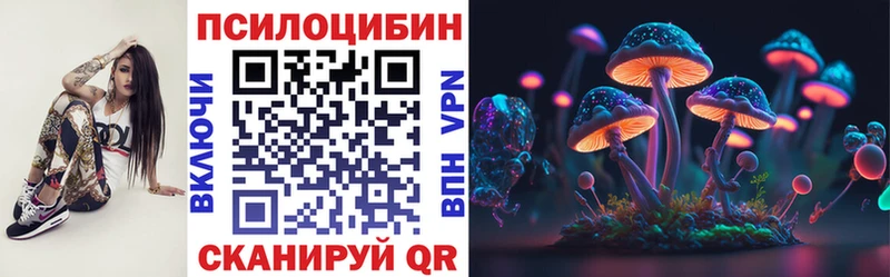 Псилоцибиновые грибы Psilocybe Гаджиево